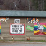 american-cat-museum