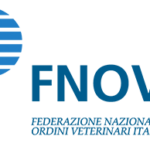 Fnovi logo