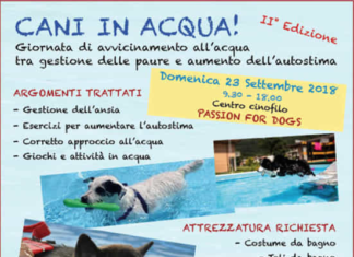 cani in acqua