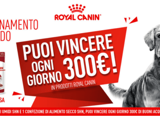 Bocconcini vincenti - concorso Royal Canin