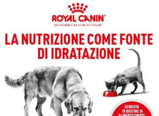 La nutrizione come fonte di idratazione - comunicato Royal Canin