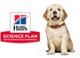 Hill's Science Plan_header