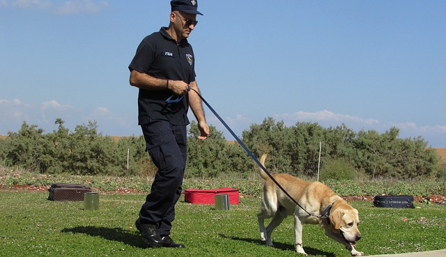 sniffer dogs per la ricerca di esplosivi