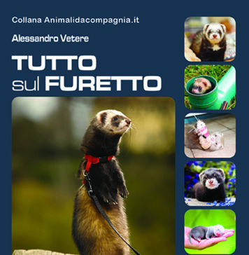 tutto-sul-furetto-copertina-Edizioni-pvi