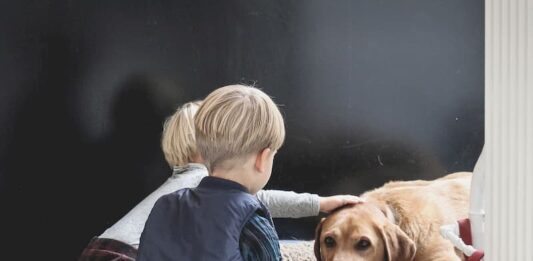 convivenza-cane-bambino