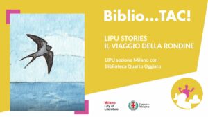 LIPU-Stories-il-viaggio-della-rondine-
