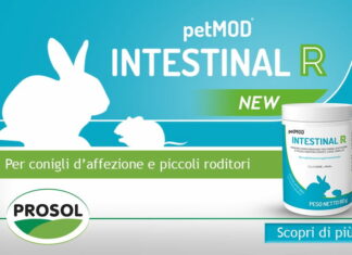 Petmod-Intestinal-R-New-PROSOL