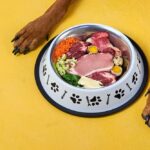 ciotola cane integratori alimentari per animali da compagnia ciotola