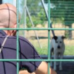progetto Fuori dalle Gabbie cuccioli carcere Spoleto