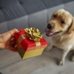 regali Natale cane