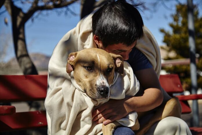 cani senzatetto abbraccio