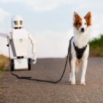 tecnologia-a-spasso-con-cane