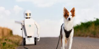 tecnologia-a-spasso-con-cane