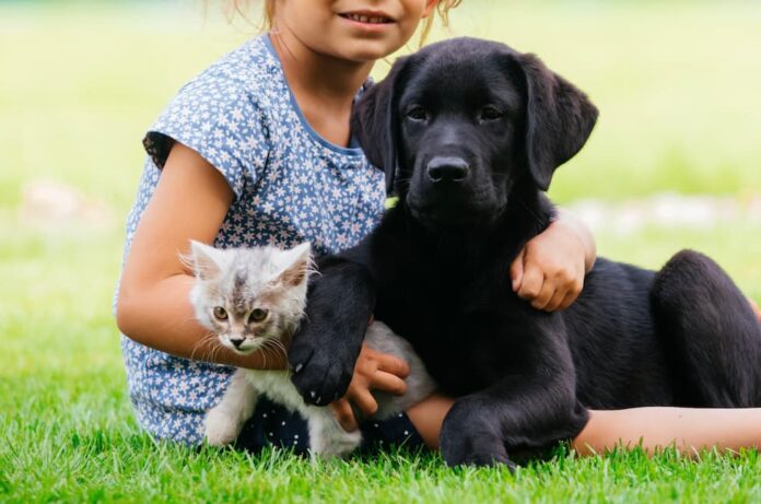 prevenzione_zoonosi_cane_gatto