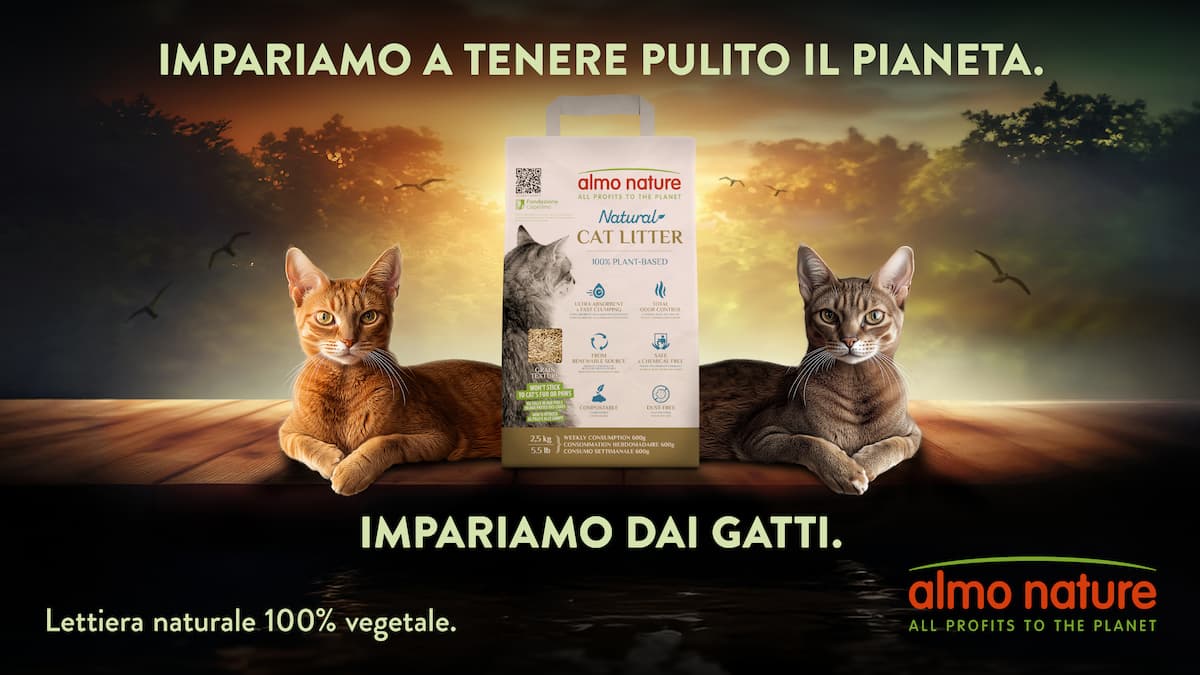 lettiera gatti Almo Nature