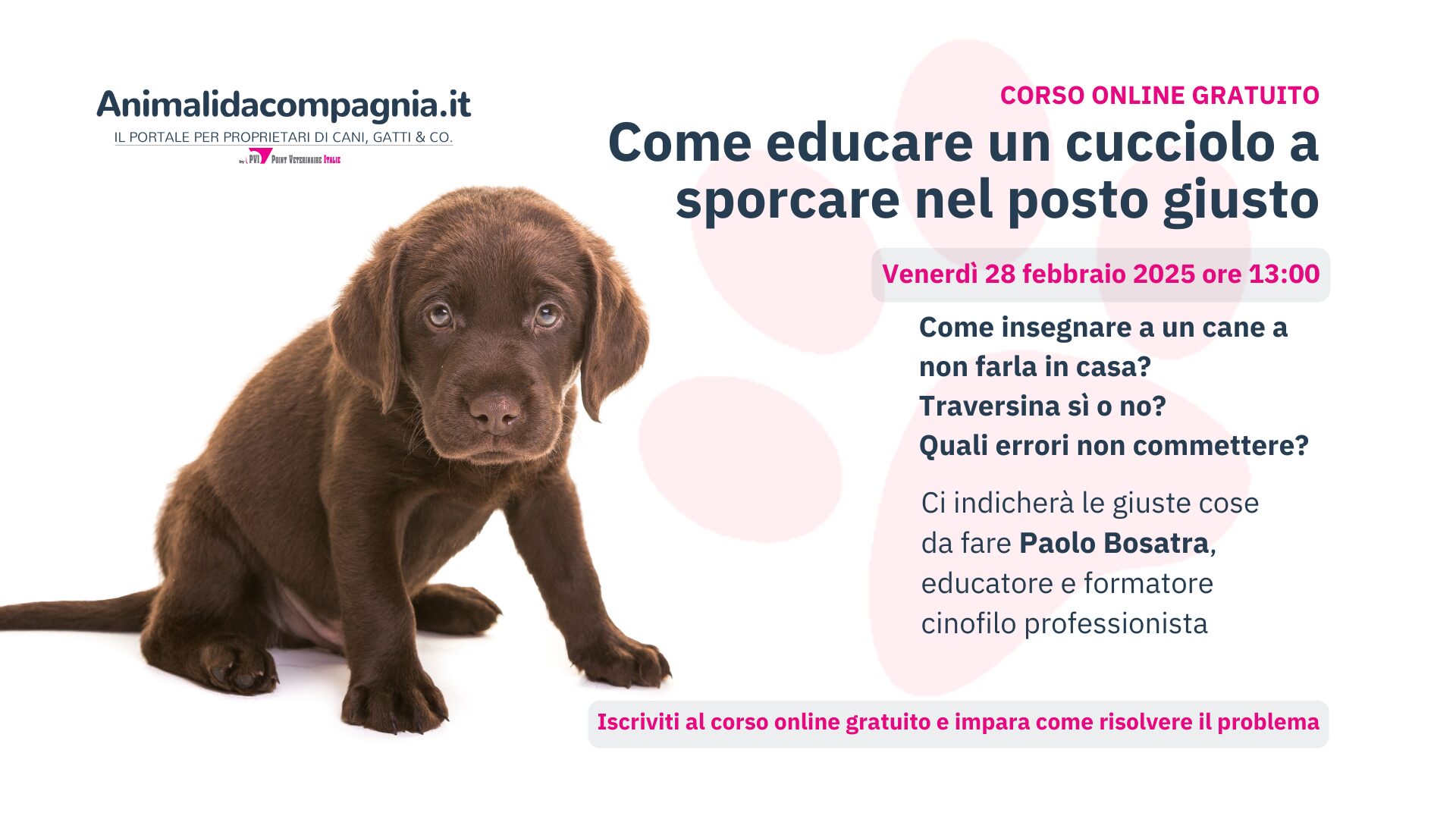 Webinar-Come educare un cucciolo a sporcare nel posto giusto_Paolo Bosatra